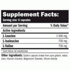 BCAA ELITE RATE (350 CAPS)