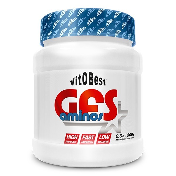 GFS AMINOS (500 GRS)
