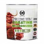 CREATINE MICRONIZED (300 GRS)